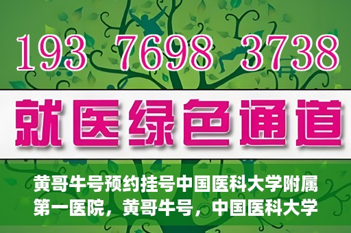 黄哥牛号预约挂号中国医科大学附属第一医院，黄哥牛号，中国医科大学附属第一医院预约挂号服务启动