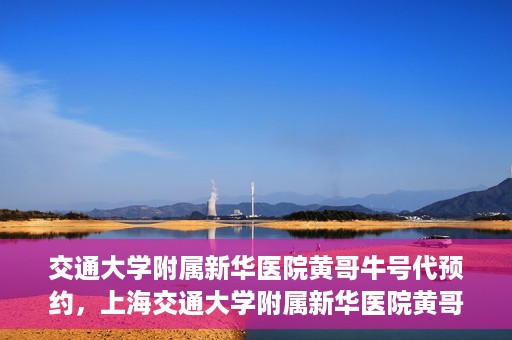 交通大学附属新华医院黄哥牛号代预约，上海交通大学附属新华医院黄哥牛号预约服务解析