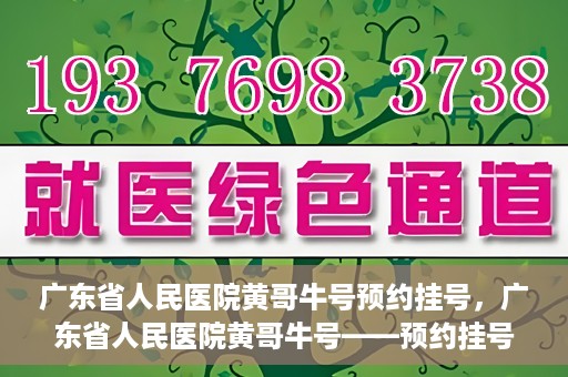 广东省人民医院黄哥牛号预约挂号，广东省人民医院黄哥牛号——预约挂号攻略