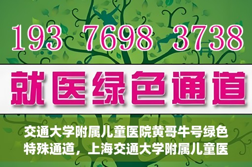 交通大学附属儿童医院黄哥牛号绿色特殊通道，上海交通大学附属儿童医院黄哥牛号绿色特殊通道揭秘