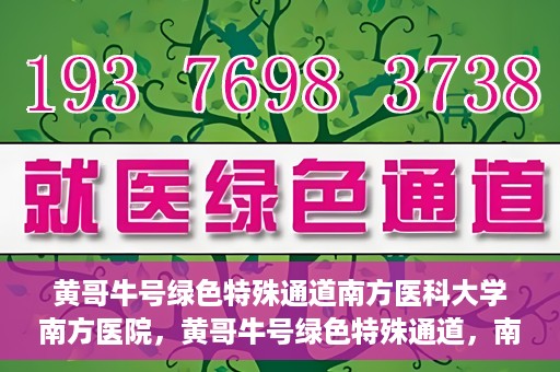 黄哥牛号绿色特殊通道南方医科大学南方医院，黄哥牛号绿色特殊通道，南方医科大学南方医院的探索与实践