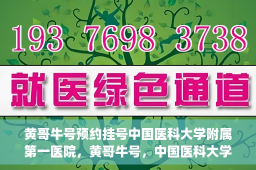 黄哥牛号预约挂号中国医科大学附属第一医院，黄哥牛号，中国医科大学附属第一医院预约挂号服务启动