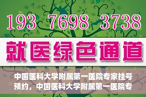 中国医科大学附属第一医院专家挂号预约，中国医科大学附属第一医院专家挂号预约攻略，一站式解决您的就医难题