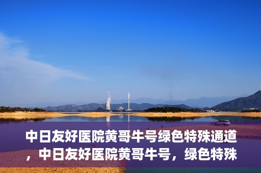 中日友好医院黄哥牛号绿色特殊通道，中日友好医院黄哥牛号，绿色特殊通道开启健康之门