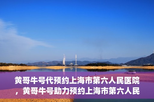 黄哥牛号代预约上海市第六人民医院，黄哥牛号助力预约上海市第六人民医院服务号