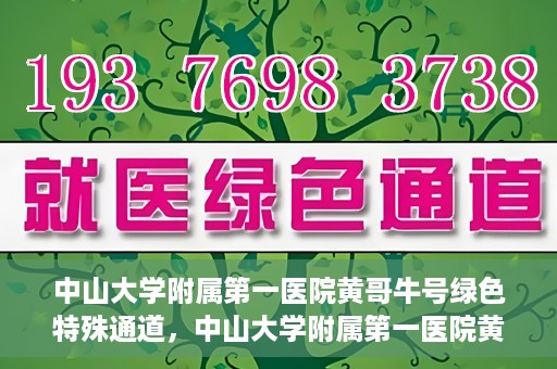 中山大学附属第一医院黄哥牛号绿色特殊通道，中山大学附属第一医院黄哥牛号，绿色特殊通道开启健康之门