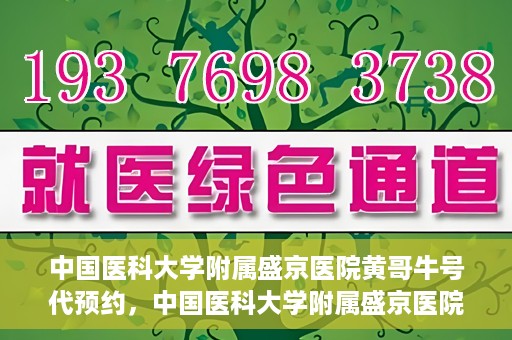 中国医科大学附属盛京医院黄哥牛号代预约，中国医科大学附属盛京医院黄哥牛号预约服务解析