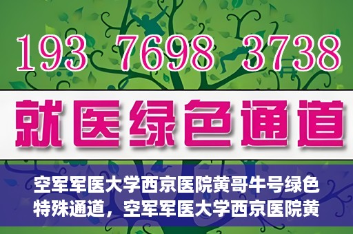 空军军医大学西京医院黄哥牛号绿色特殊通道，空军军医大学西京医院黄哥牛号，绿色特殊通道开启健康之门