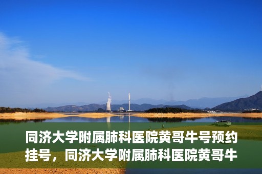 同济大学附属肺科医院黄哥牛号预约挂号，同济大学附属肺科医院黄哥牛预约挂号攻略，轻松预约专家号