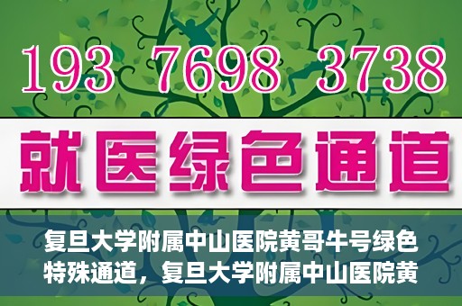 复旦大学附属中山医院黄哥牛号绿色特殊通道，复旦大学附属中山医院黄哥牛号，绿色特殊通道开启健康之门