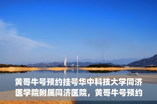 黄哥牛号预约挂号华中科技大学同济医学院附属同济医院，黄哥牛号预约挂号服务，华中科技大学同济医学院附属同济医院便捷就医新体验