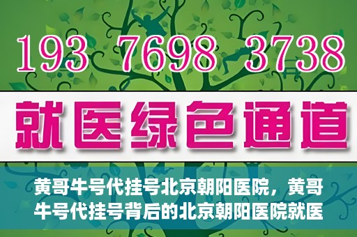 黄哥牛号代挂号北京朝阳医院，黄哥牛号代挂号背后的北京朝阳医院就医现象观察