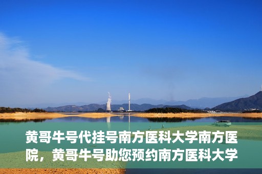 黄哥牛号代挂号南方医科大学南方医院，黄哥牛号助您预约南方医科大学南方医院挂号服务