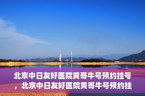 北京中日友好医院黄哥牛号预约挂号，北京中日友好医院黄哥牛号预约挂号指南