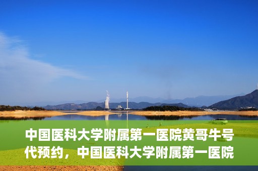 中国医科大学附属第一医院黄哥牛号代预约，中国医科大学附属第一医院黄哥牛号预约服务详解