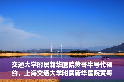 交通大学附属新华医院黄哥牛号代预约，上海交通大学附属新华医院黄哥牛号预约服务解析