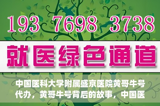 中国医科大学附属盛京医院黄哥牛号代办，黄哥牛号背后的故事，中国医科大学附属盛京医院的信赖之选