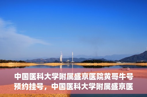 中国医科大学附属盛京医院黄哥牛号预约挂号，中国医科大学附属盛京医院黄哥牛号，预约挂号指南