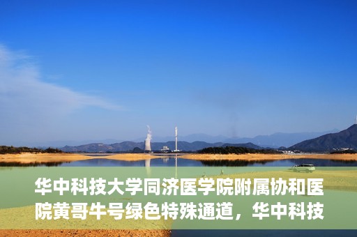 华中科技大学同济医学院附属协和医院黄哥牛号绿色特殊通道，华中科技大学同济医学院附属协和医院黄哥牛号绿色就医特殊通道揭秘
