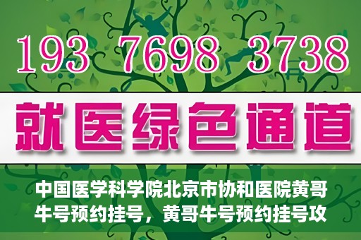 中国医学科学院北京市协和医院黄哥牛号预约挂号，黄哥牛号预约挂号攻略，中国医学科学院北京市协和医院就医指南