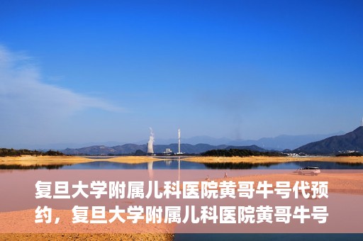 复旦大学附属儿科医院黄哥牛号代预约，复旦大学附属儿科医院黄哥牛号预约服务解析