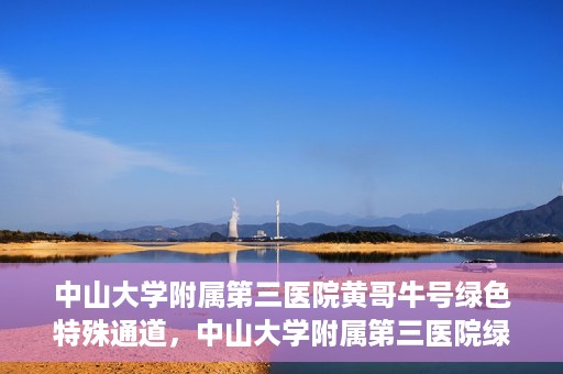 中山大学附属第三医院黄哥牛号绿色特殊通道，中山大学附属第三医院绿色特殊通道，黄哥牛号引领医疗创新之路