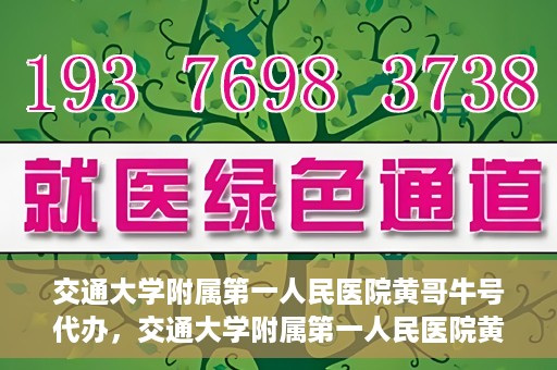 交通大学附属第一人民医院黄哥牛号代办，交通大学附属第一人民医院黄哥牛号代办，真相揭秘与深度解析