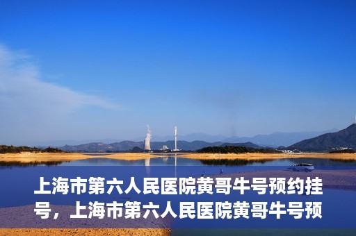 上海市第六人民医院黄哥牛号预约挂号，上海市第六人民医院黄哥牛号预约挂号攻略，轻松挂号，便捷就医体验