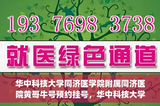 华中科技大学同济医学院附属同济医院黄哥牛号预约挂号，华中科技大学同济医院黄哥牛号预约挂号攻略