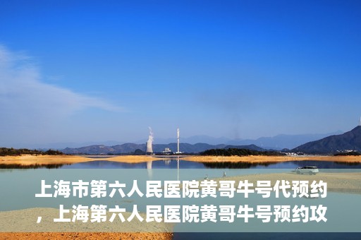 上海市第六人民医院黄哥牛号代预约，上海第六人民医院黄哥牛号预约攻略，轻松解决挂号难题