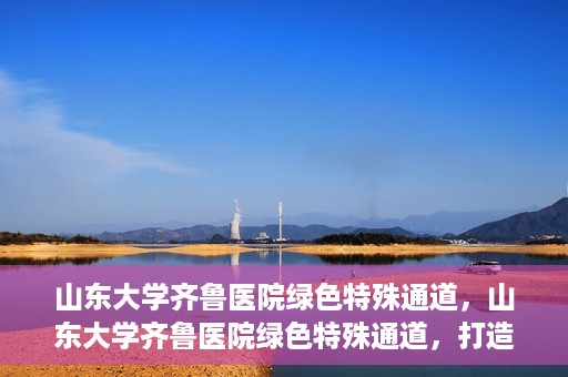 山东大学齐鲁医院绿色特殊通道，山东大学齐鲁医院绿色特殊通道，打造健康新通道，引领医疗新时代