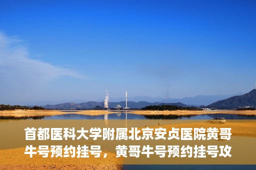 首都医科大学附属北京安贞医院黄哥牛号预约挂号，黄哥牛号预约挂号攻略，首都医科大学附属北京安贞医院就医指南