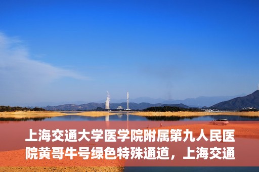 上海交通大学医学院附属第九人民医院黄哥牛号绿色特殊通道，上海交通大学医学院附属第九人民医院黄哥牛号，绿色特殊通道开启健康之门