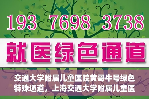 交通大学附属儿童医院黄哥牛号绿色特殊通道，上海交通大学附属儿童医院黄哥牛号绿色特殊通道揭秘