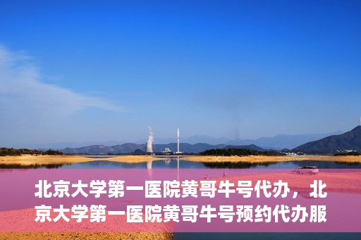 北京大学第一医院黄哥牛号代办，北京大学第一医院黄哥牛号预约代办服务攻略