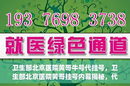 卫生部北京医院黄哥牛号代挂号，卫生部北京医院黄哥挂号内幕揭秘，代挂号背后的故事