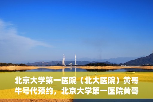 北京大学第一医院（北大医院）黄哥牛号代预约，北京大学第一医院黄哥牛号预约服务解析