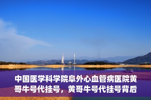 中国医学科学院阜外心血管病医院黄哥牛号代挂号，黄哥牛号代挂号背后的故事，阜外心血管病医院的探索与挑战