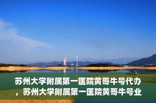 苏州大学附属第一医院黄哥牛号代办，苏州大学附属第一医院黄哥牛号业务代办攻略