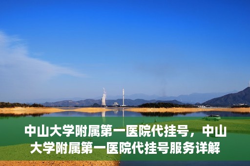 中山大学附属第一医院代挂号，中山大学附属第一医院代挂号服务详解