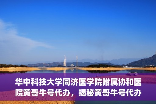华中科技大学同济医学院附属协和医院黄哥牛号代办，揭秘黄哥牛号代办背后的故事，华中科技大学同济医学院附属协和医院就医新途径探索