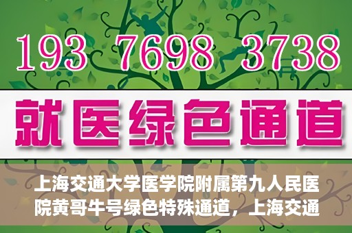 上海交通大学医学院附属第九人民医院黄哥牛号绿色特殊通道，上海交通大学医学院附属第九人民医院黄哥牛号，绿色特殊通道开启健康之门