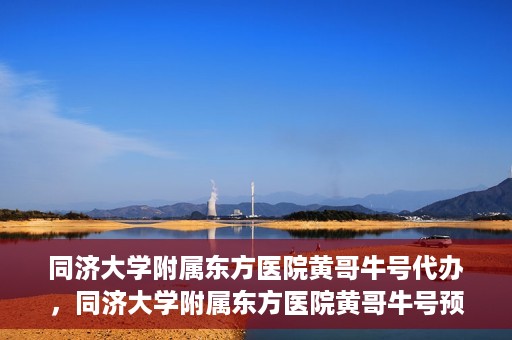 同济大学附属东方医院黄哥牛号代办，同济大学附属东方医院黄哥牛号预约代办攻略