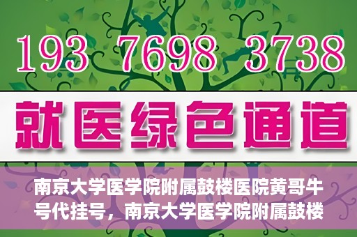 南京大学医学院附属鼓楼医院黄哥牛号代挂号，南京大学医学院附属鼓楼医院黄哥牛号代挂号解析，专业解读与预约攻略