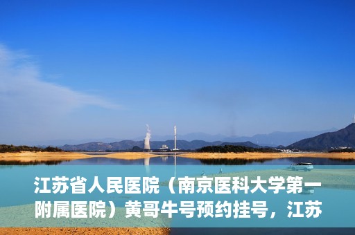 江苏省人民医院（南京医科大学第一附属医院）黄哥牛号预约挂号，江苏省人民医院（南京医科大学第一附属医院）黄哥牛号预约挂号攻略