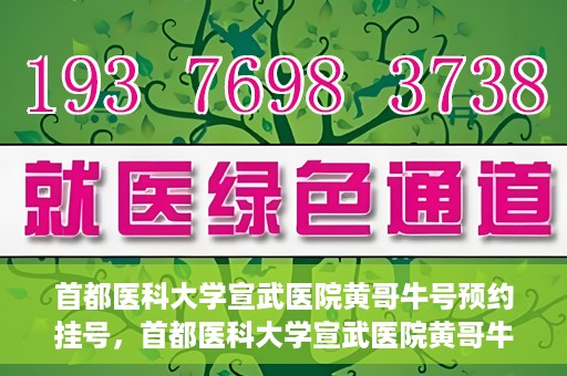 首都医科大学宣武医院黄哥牛号预约挂号，首都医科大学宣武医院黄哥牛号，预约挂号攻略