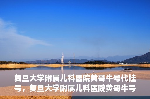 复旦大学附属儿科医院黄哥牛号代挂号，复旦大学附属儿科医院黄哥牛号代挂号解析，专业解读与挂号攻略