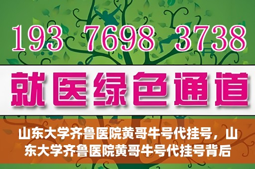 山东大学齐鲁医院黄哥牛号代挂号，山东大学齐鲁医院黄哥牛号代挂号背后的故事与探索