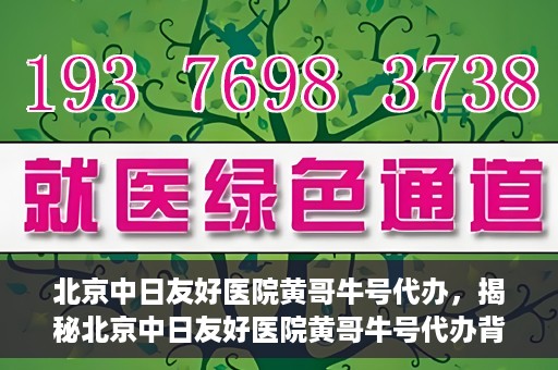 北京中日友好医院黄哥牛号代办，揭秘北京中日友好医院黄哥牛号代办背后的故事