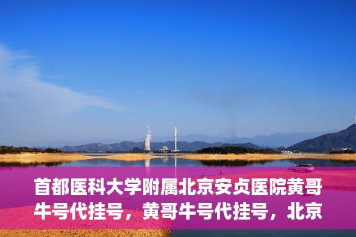 首都医科大学附属北京安贞医院黄哥牛号代挂号，黄哥牛号代挂号，北京安贞医院挂号新途径探索